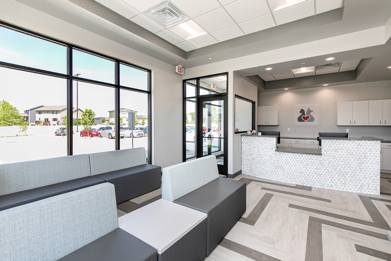 Veterinarian in Ankeny, IA